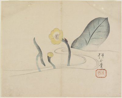 (Loto e un insetto dorato), c. 1830 da Hogyoku